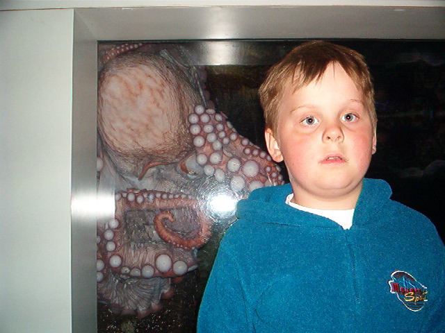 octo.jpg